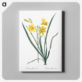 1-94_The-Lilies_canvas