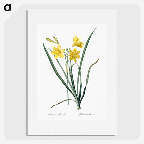 1-94_The-Lilies_picture