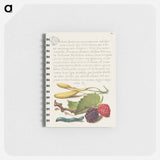 アートメモ帳-Hyacinth, Black Mulberry, and Caterpillar
 - 書道のお手本 Memo.