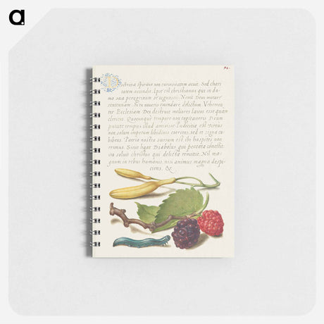 アートメモ帳-Hyacinth, Black Mulberry, and Caterpillar
 - 書道のお手本 Memo.
