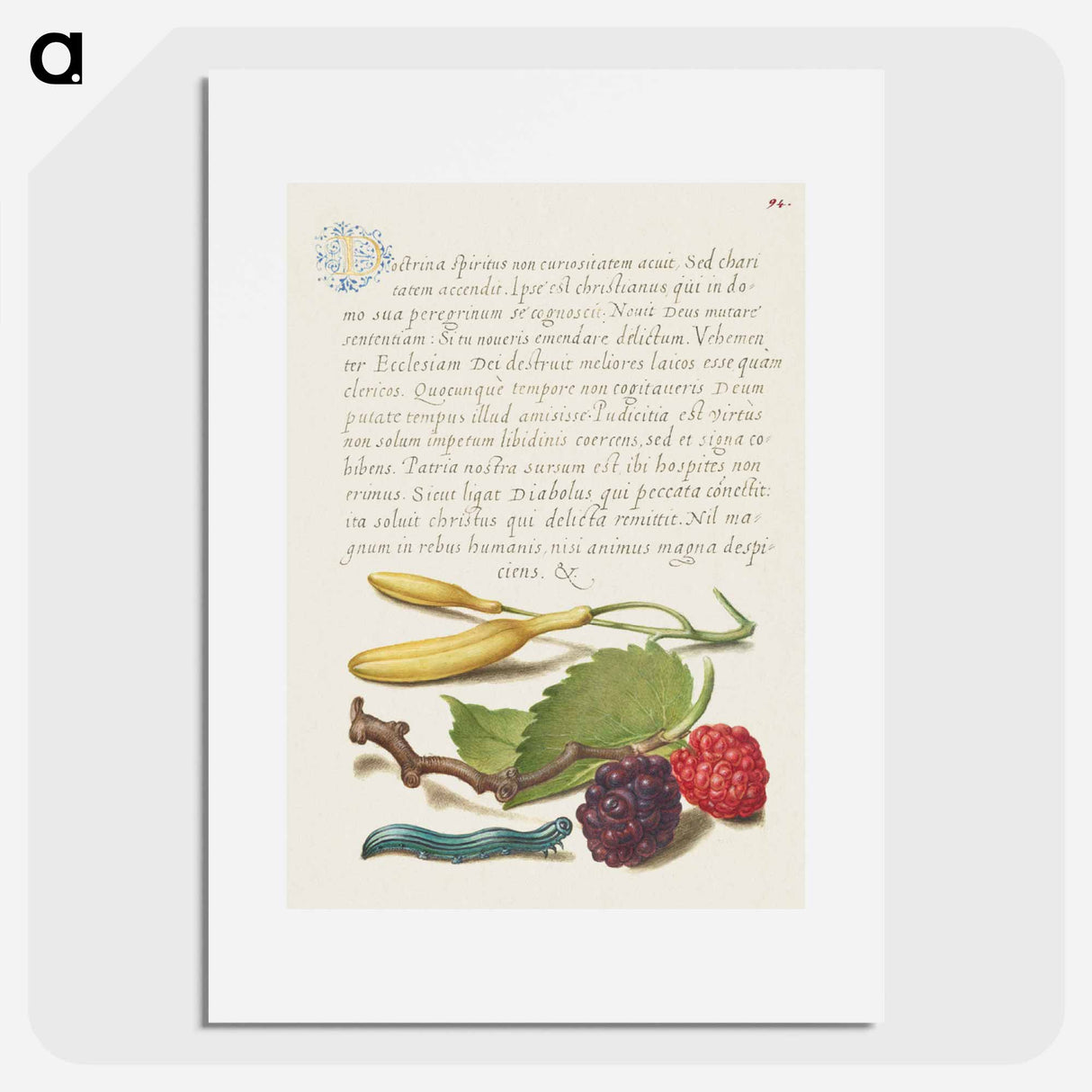 アートポスター-Hyacinth, Black Mulberry, and Caterpillar
 - 書道のお手本 Poster.