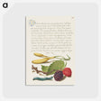 アートポストカード-Hyacinth, Black Mulberry, and Caterpillar
 - 書道のお手本 Postcard.