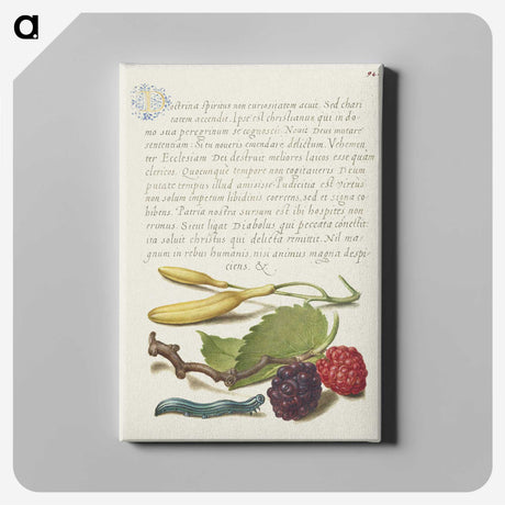 1-94_The-Model-Book-of-Calligraphy_canvas