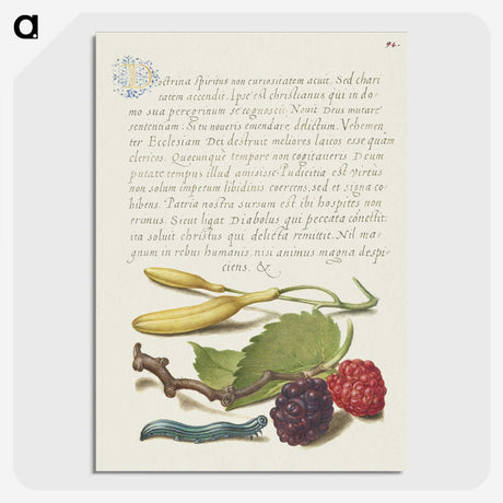 1-94_The-Model-Book-of-Calligraphy_picture-crop
