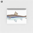 1-94_The-Natural-History-of-British-Fishes_memo