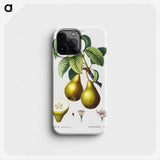 1-94_Treatise-on-Trees-and-Shrubs_phone