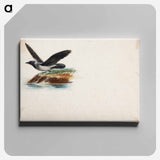 Crow - ヴィルヘルム フォン ライト Canvas.