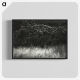 1-95_Alfred-Stieglitz_blk-crop