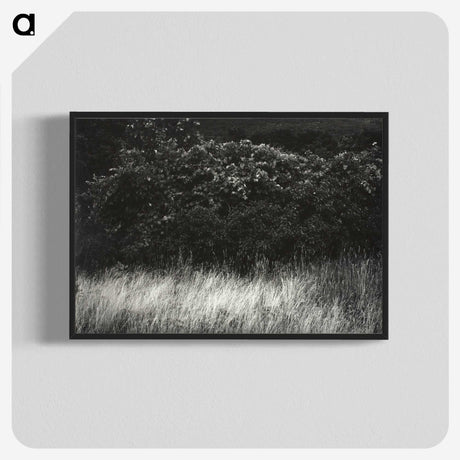 1-95_Alfred-Stieglitz_blk-crop