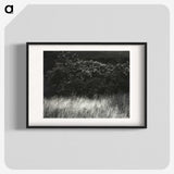 1-95_Alfred-Stieglitz_blk