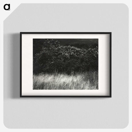 1-95_Alfred-Stieglitz_blk