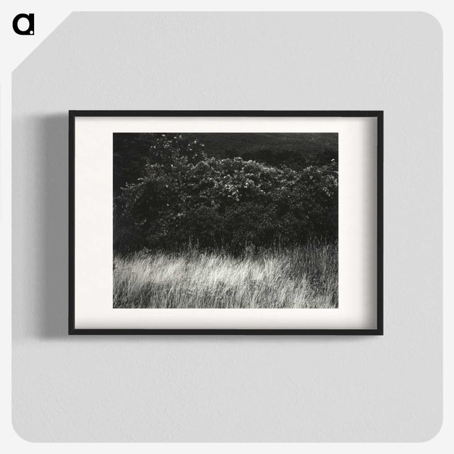 1-95_Alfred-Stieglitz_blk