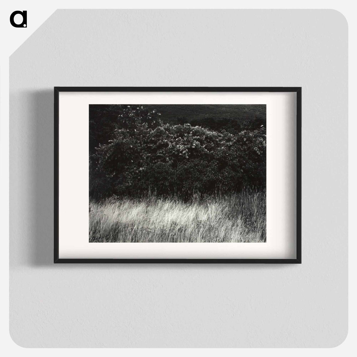 Hedge and Grasses–Lake George - アルフレッド スティーグリッツ Poster.