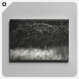 1-95_Alfred-Stieglitz_canvas