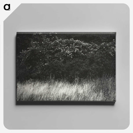 1-95_Alfred-Stieglitz_canvas