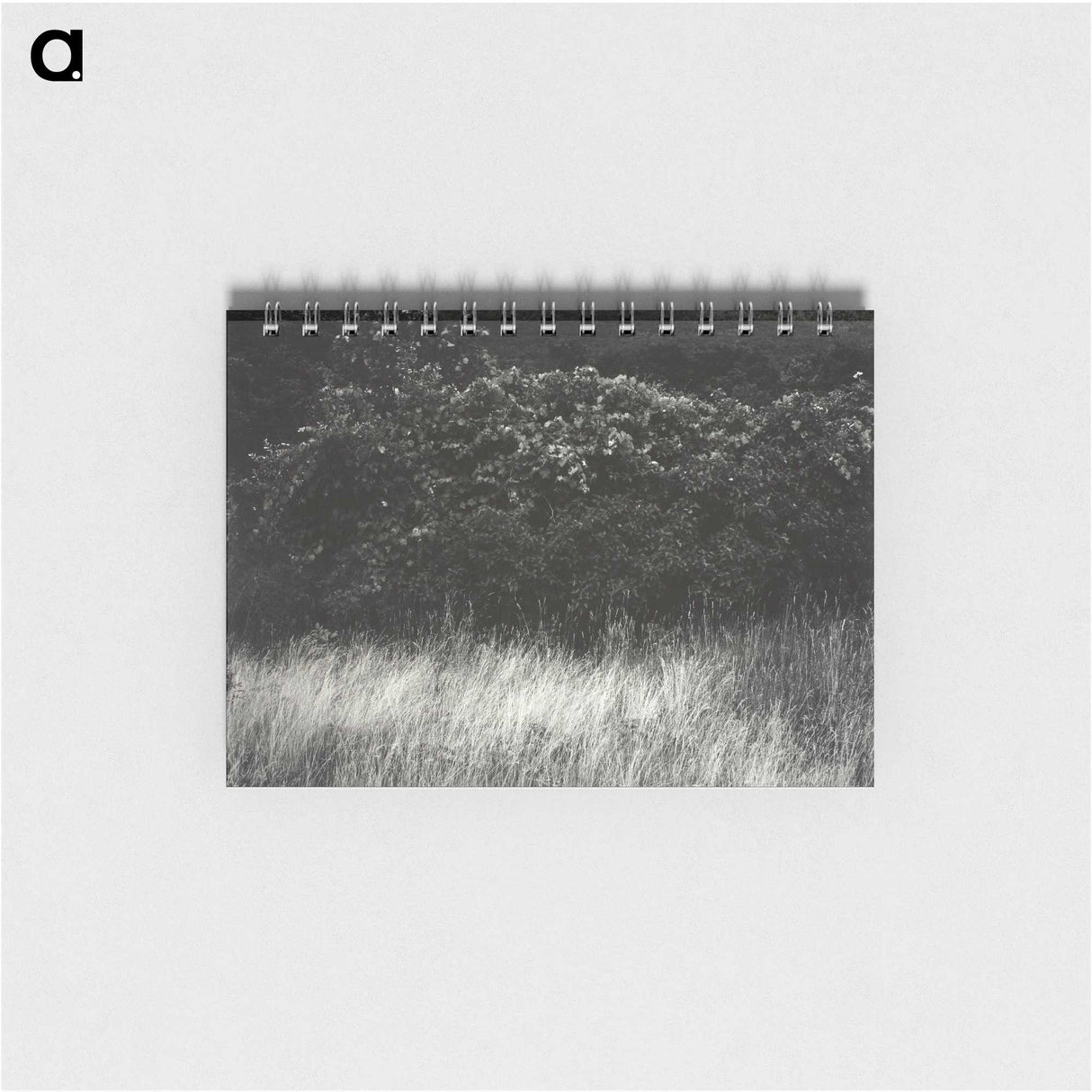 1-95_Alfred-Stieglitz_memo