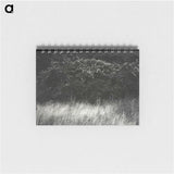 1-95_Alfred-Stieglitz_memo