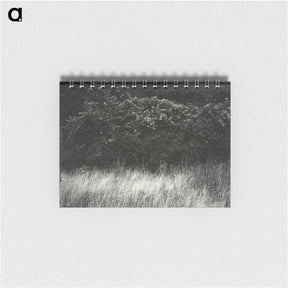 1-95_Alfred-Stieglitz_memo