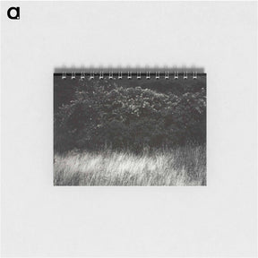 アートメモ帳-Hedge and Grasses–Lake George - アルフレッド スティーグリッツ Memo.