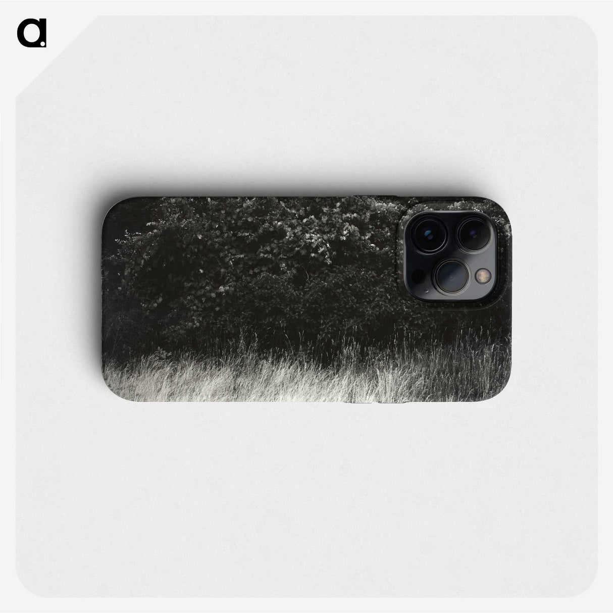 1-95_Alfred-Stieglitz_phone