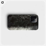 Hedge and Grasses–Lake George - アルフレッド スティーグリッツ Phone Case.