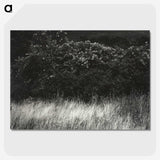 1-95_Alfred-Stieglitz_picture-crop