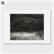 1-95_Alfred-Stieglitz_picture