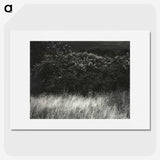 1-95_Alfred-Stieglitz_picture