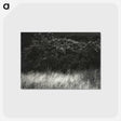 1-95_Alfred-Stieglitz_postcard