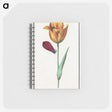 1-95_Anselmus-Boetius-de-Boodt_memo