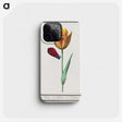1-95_Anselmus-Boetius-de-Boodt_phone