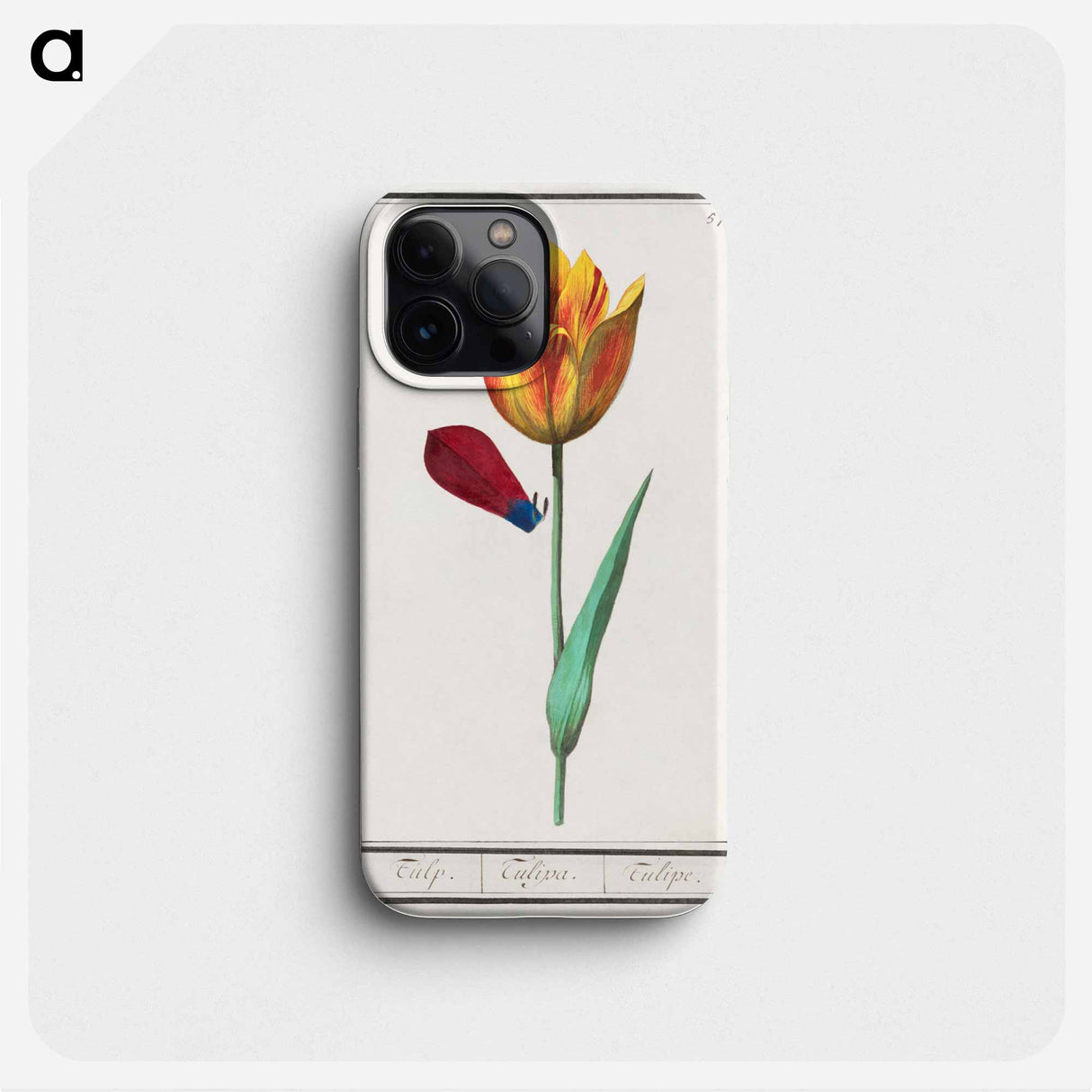 Tulip - アンセルムス ボエティウス デ ブート Phone Case.