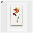 1-95_Anselmus-Boetius-de-Boodt_picture