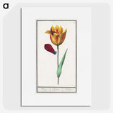 1-95_Anselmus-Boetius-de-Boodt_picture