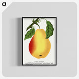 1-95_Botanical-Specimen-Plates_blk-crop