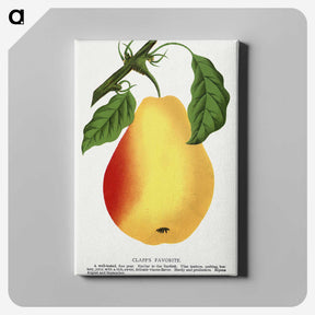 1-95_Botanical-Specimen-Plates_canvas