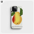 1-95_Botanical-Specimen-Plates_phone