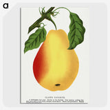 1-95_Botanical-Specimen-Plates_picture-crop