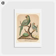 アートポストカード-Two Parrots on a Barren Tree - チャールズ デムス Postcard.