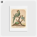 アートポストカード-Two Parrots on a Barren Tree - チャールズ デムス Postcard.
