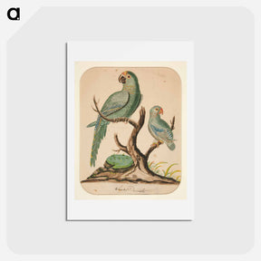 アートポストカード-Two Parrots on a Barren Tree - チャールズ デムス Postcard.