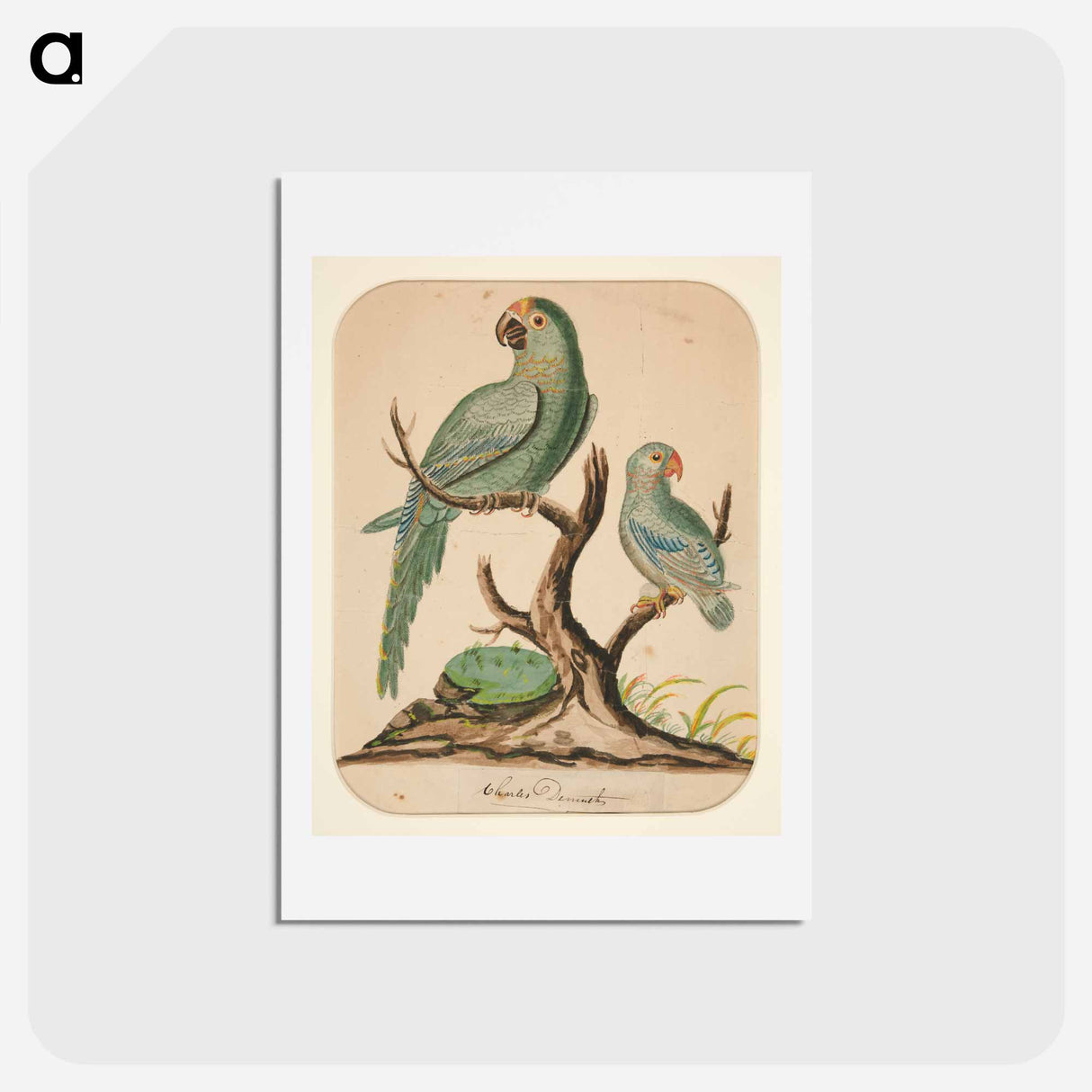 Two Parrots on a Barren Tree - チャールズ デムス Postcard.