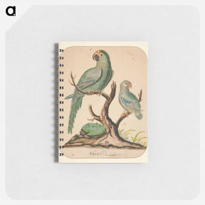 アートメモ帳-Two Parrots on a Barren Tree - チャールズ デムス Memo.
