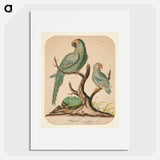 Two Parrots on a Barren Tree - チャールズ デムス Poster.