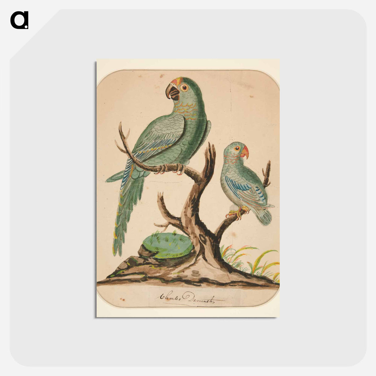 アートポストカード-Two Parrots on a Barren Tree - チャールズ デムス Postcard.