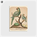 アートポストカード-Two Parrots on a Barren Tree - チャールズ デムス Postcard.
