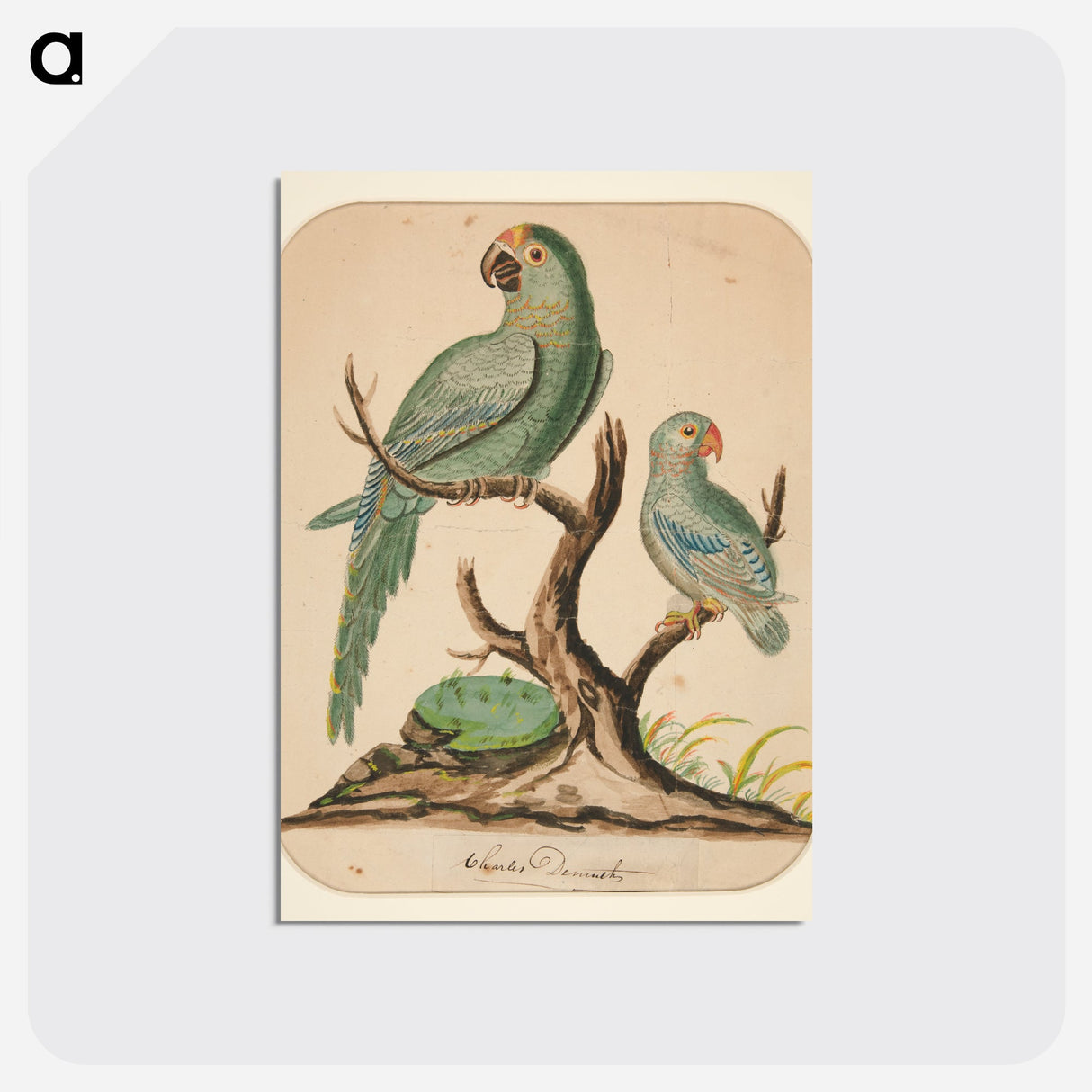 Two Parrots on a Barren Tree - チャールズ デムス Postcard.