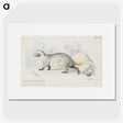 1-95_Charles-Hamilton-Smith_picture