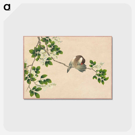 アートポストカード-Preening Bird
 - クリーブランド美術館 Postcard.