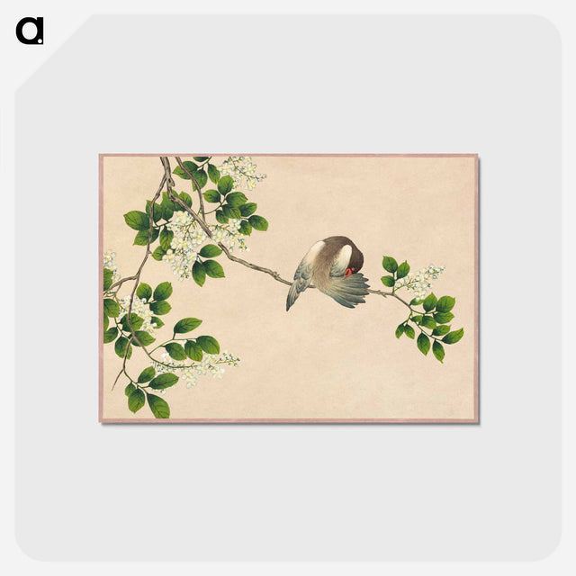アートポストカード-Preening Bird
 - クリーブランド美術館 Postcard.